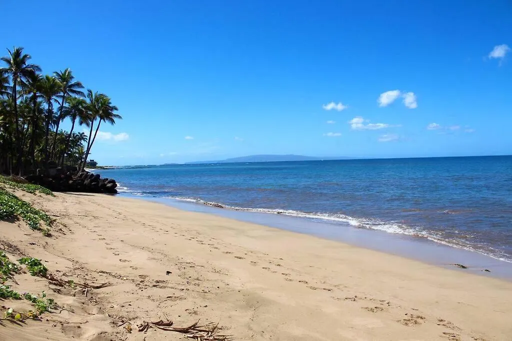 Appartamento Best Deal And Epic Location 2Bd 2Ba Ocean View Kihei